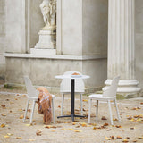 Allez Chair, Oak Leg
