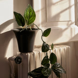 Spun Aluminum Pots & Vases