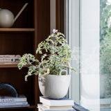 Speckle Ceramic Pots