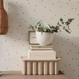 Speckle Ceramic Pots