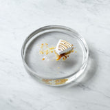 Mass Glass Dish