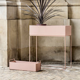 Plant Box