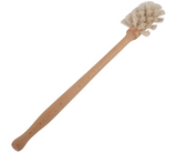 Bottle Brushes
