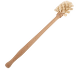 Bottle Brushes