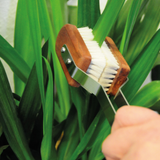Plant Leaves Brush
