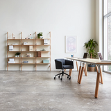 Branch - 3 Shelving Unit