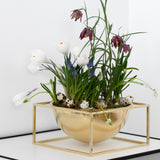 Kubus Bowls & Centrepiece Bowls, White and Brass
