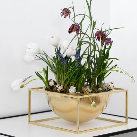 Kubus Bowls & Centrepiece Bowls, White and Brass