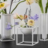 Kubus Bowls & Centrepiece Bowls, White and Brass