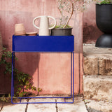 Plant Box