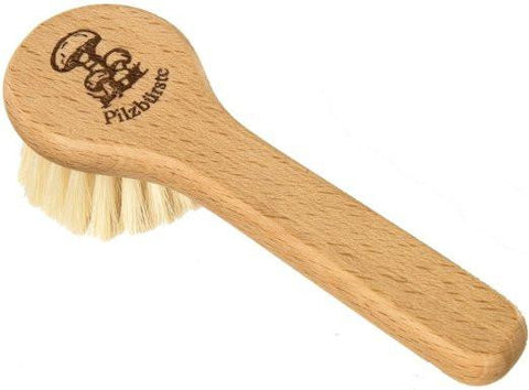 Mushroom Brush with Handle